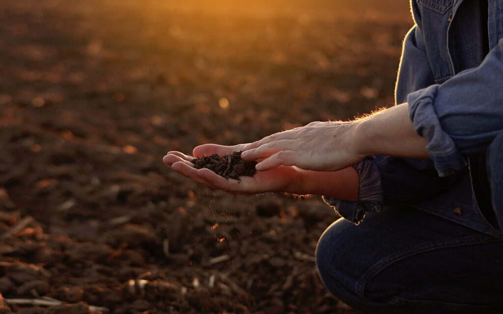 calidad del suelo qualitat del sòl soil health qualité des sols