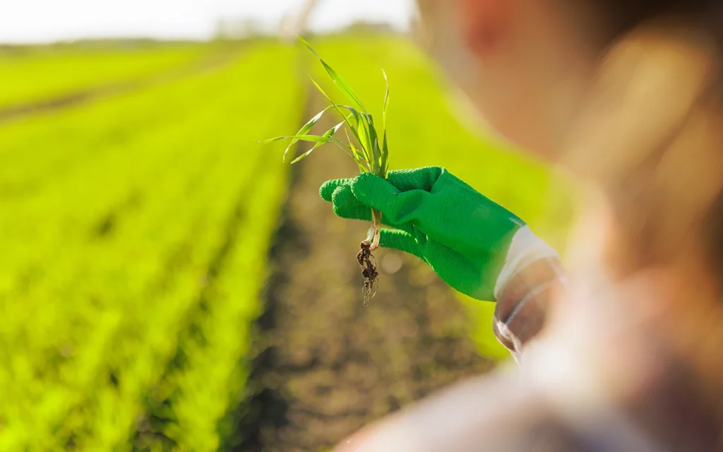 Normativas sobre agroquímicos ecológicos